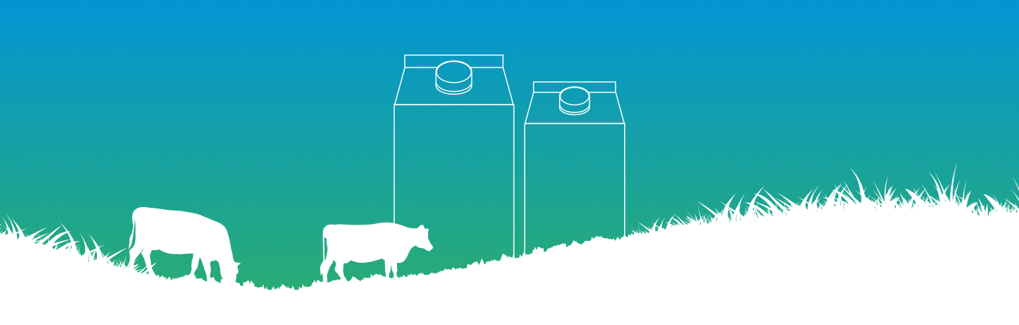 Streamlining B2B Commerce with Salesforce Automation