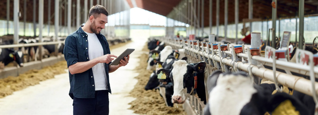 40% Faster Field Execution in Salesforce Sales Cloud